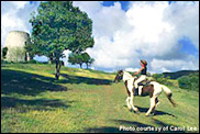 horseback riding on st. croix